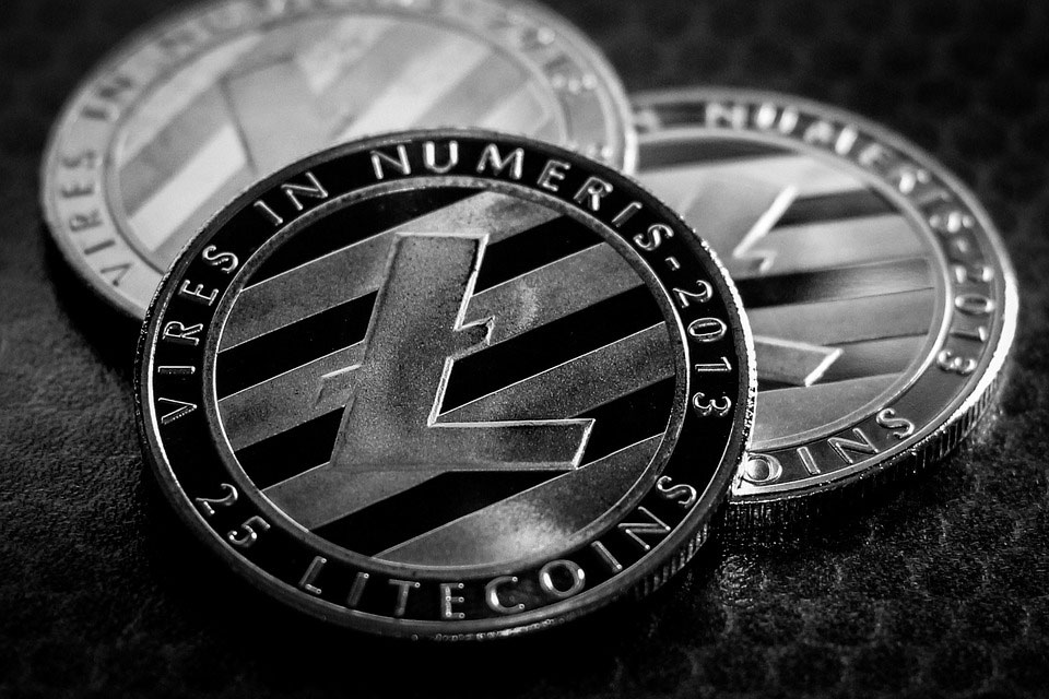 Webitcoin: Litecoin Foundation patrocinará luta pelo título do UFC