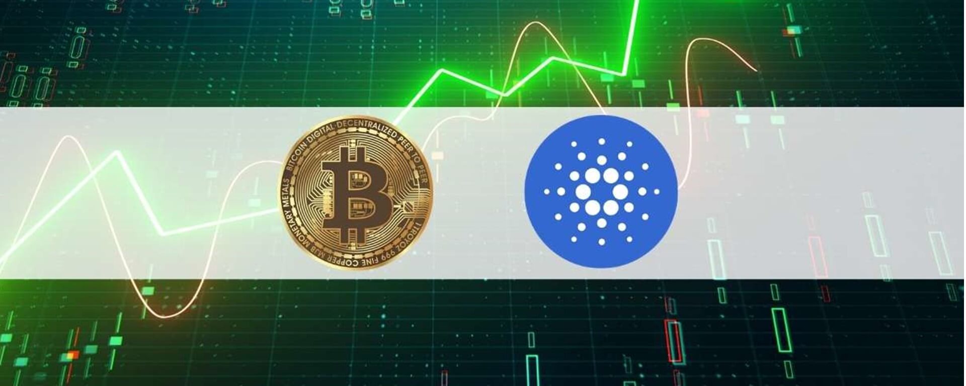 Investidores de varejo escolhem Cardano: perseguindo o “próximo Bitcoin”