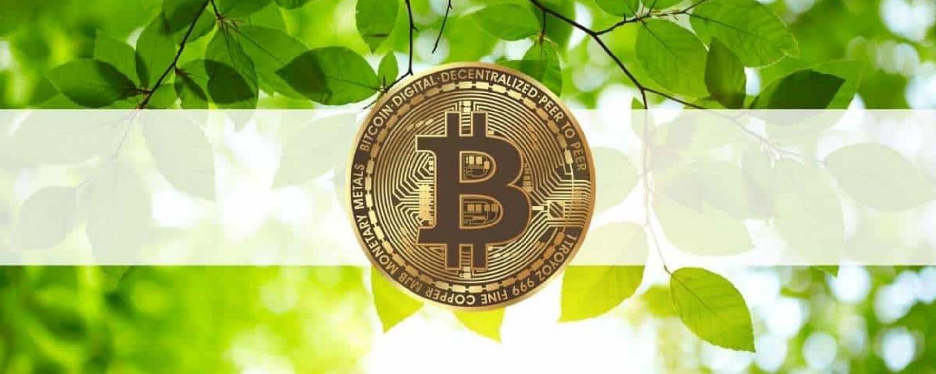 Green bitcoin. Зеленый биткоин. Биткоин на зеленом фоне. Биткойн зеленого цвета. Зеленый биткоин на белом фоне.