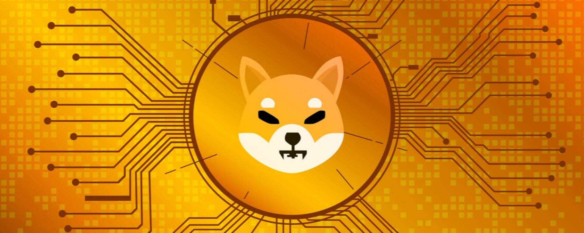 coinbase pro shiba inu price wrong