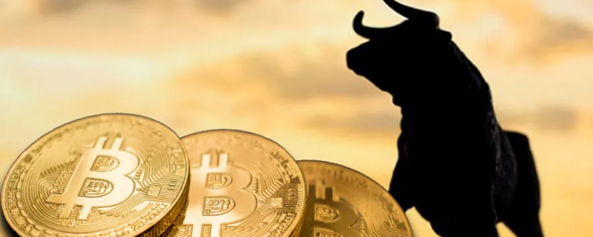 Nigel Green, CEO da DeVere, prevê quando terminará o ciclo do Bitcoin Bull
