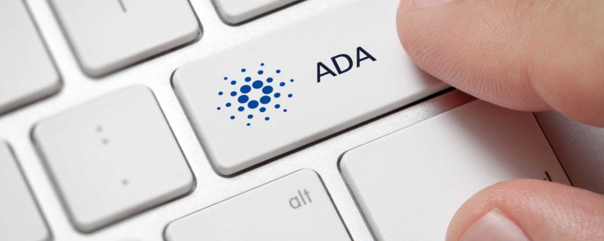 Cardano supera duas vezes Bitcoin e Ethereum em volume de transações