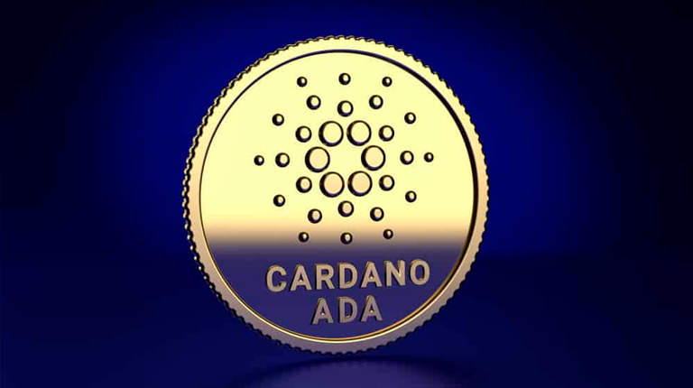 cardano01 interna