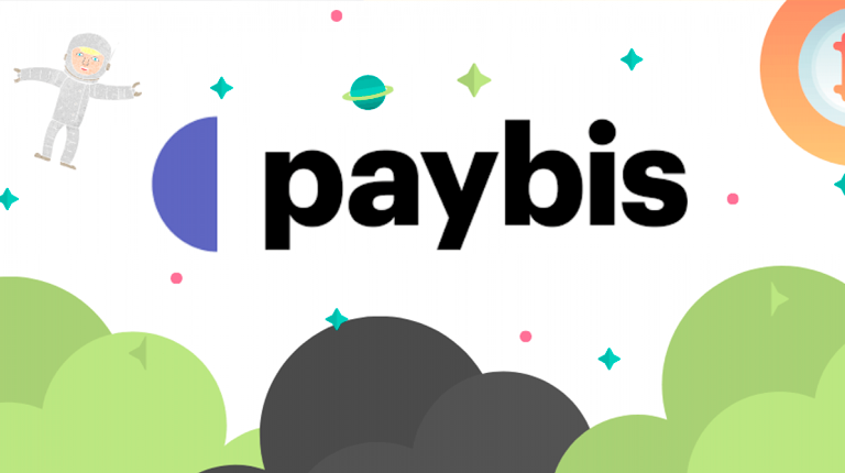 paybis01 interna