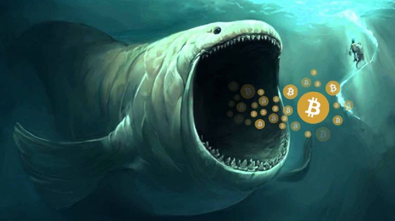 Baleias estão acumulando Bitcoin em meio ao crash da FTX