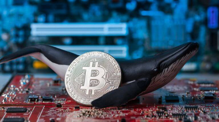 Baleias de Bitcoin