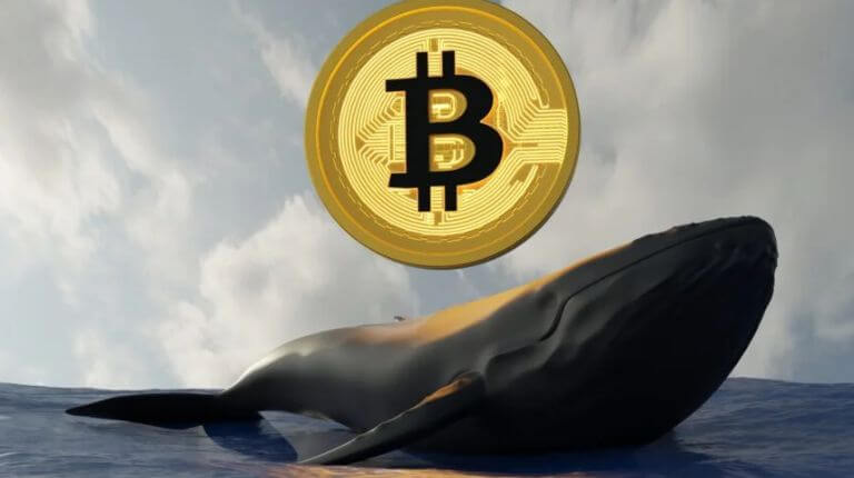 Baleias de Bitcoin compram 83 mil BTC enquanto varejo vende: alvo de US$ 110 mil adiante? 1 Copia de Contra Capa 45